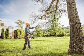 Professional Tree Removal and Landscaping Services in Lake Telemark, NJ